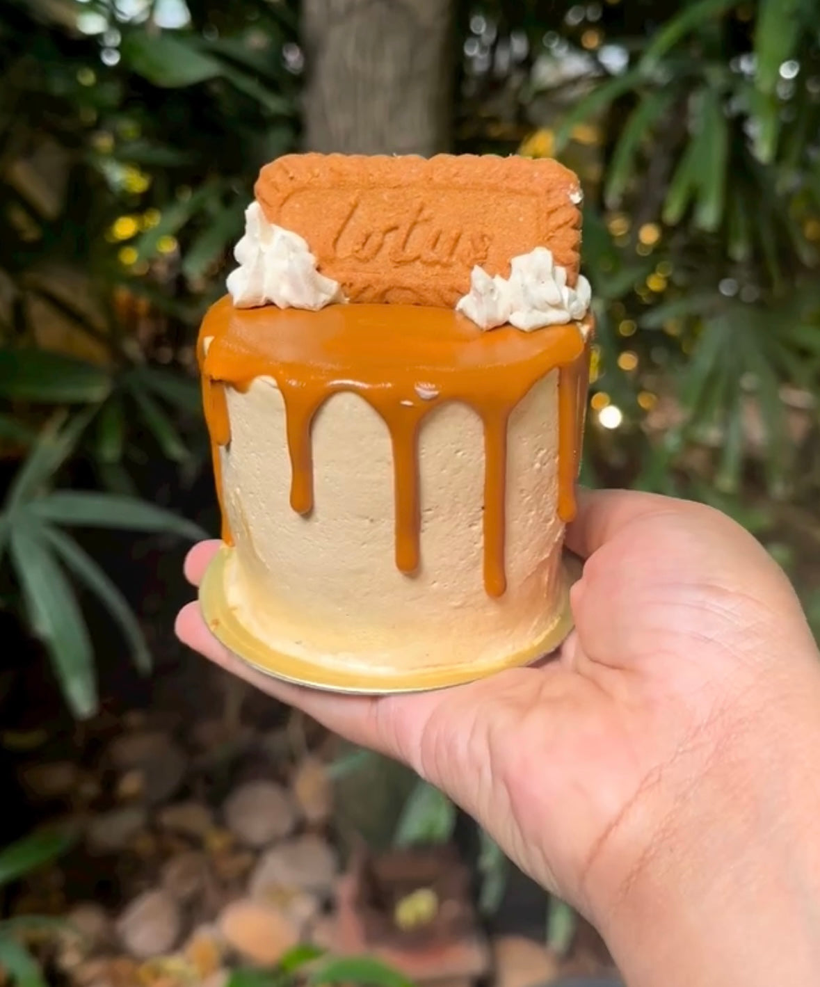 Lotus Biscoff Mini Cake