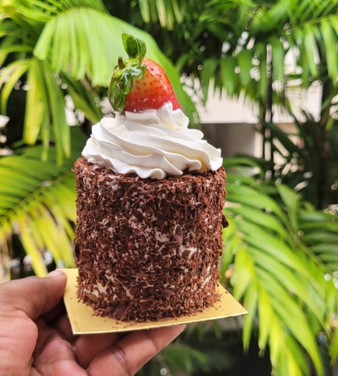 Black Forest Strawberry Mini Cake